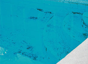Remove Black Algae With BioGuard Erase®