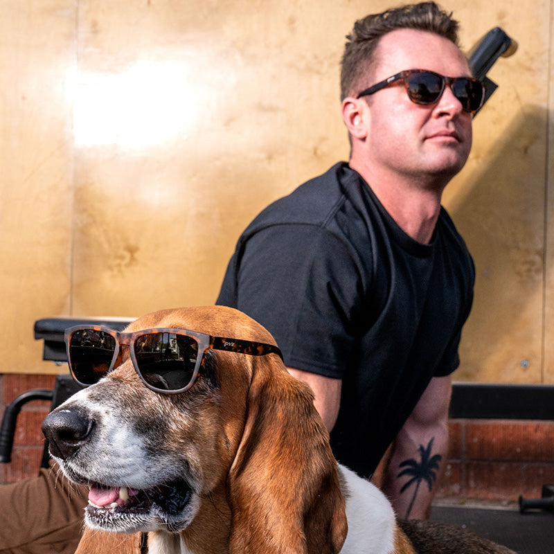 Goodr OG – Bosley’s Basset Hound Dreams (Tortoiseshell/Brown Lens)