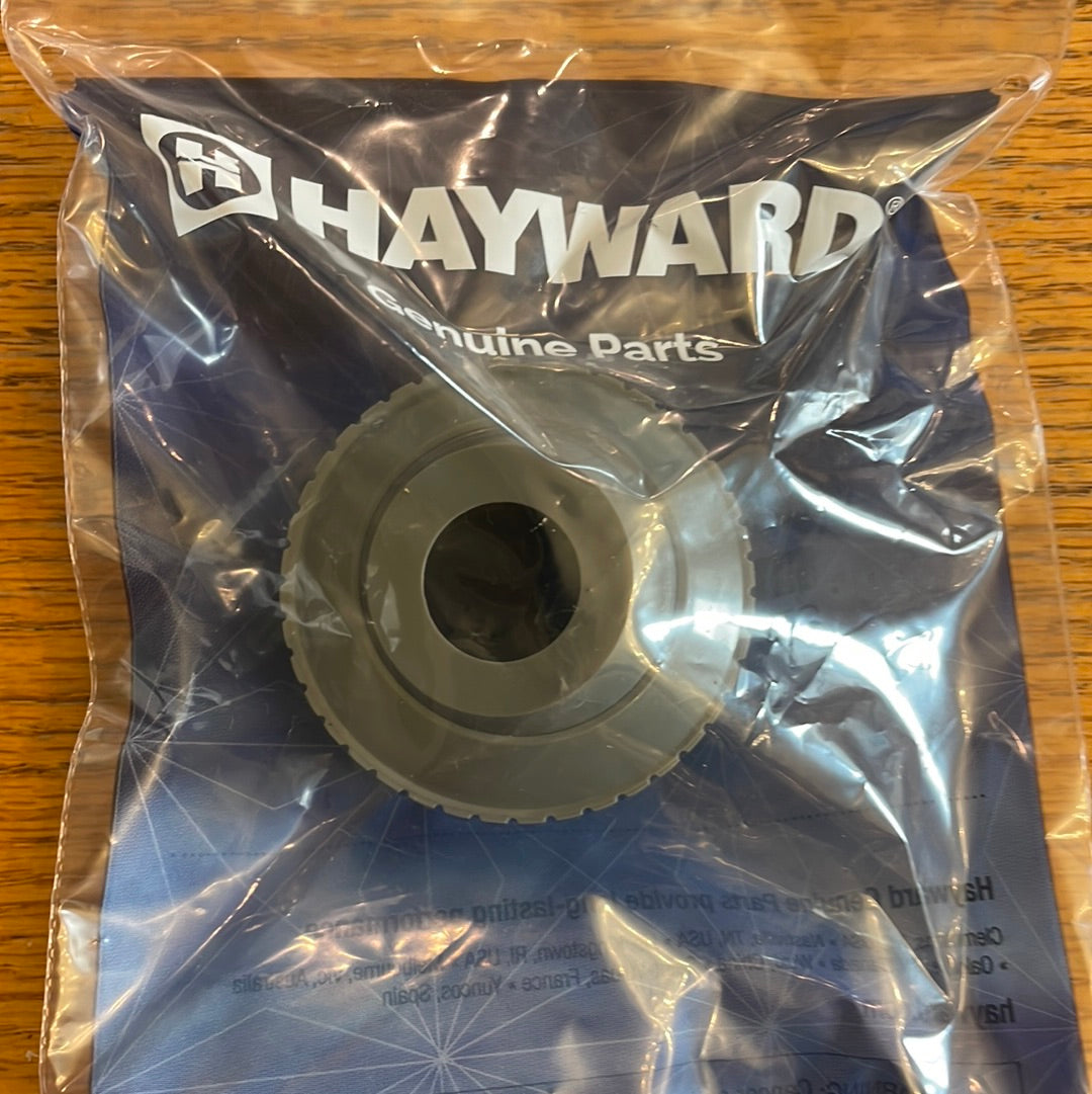 Hayward Return Jet DG