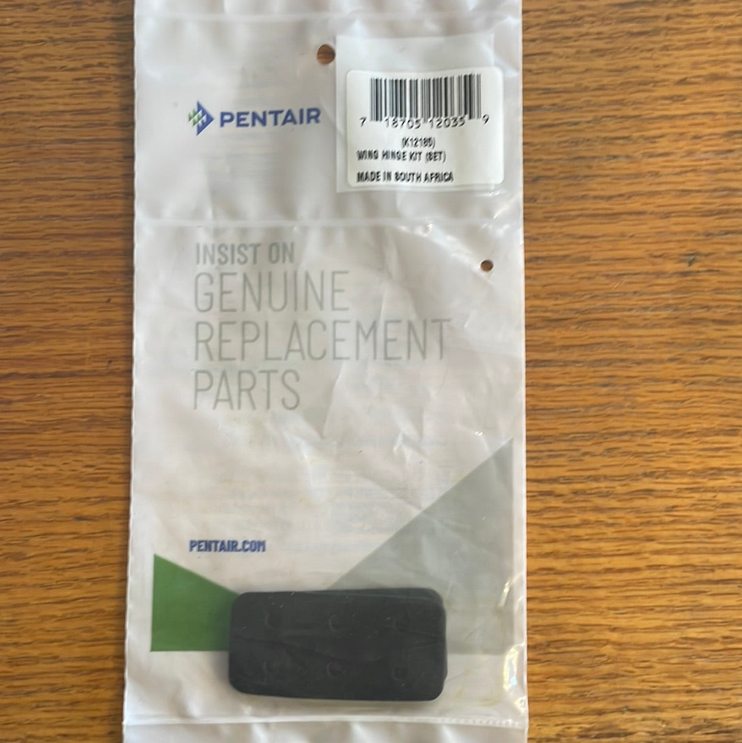 Pentair WING HINGE KIT