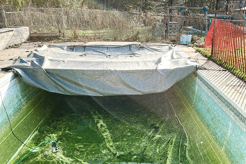 Should You Open or Close Your Pool Yourself?