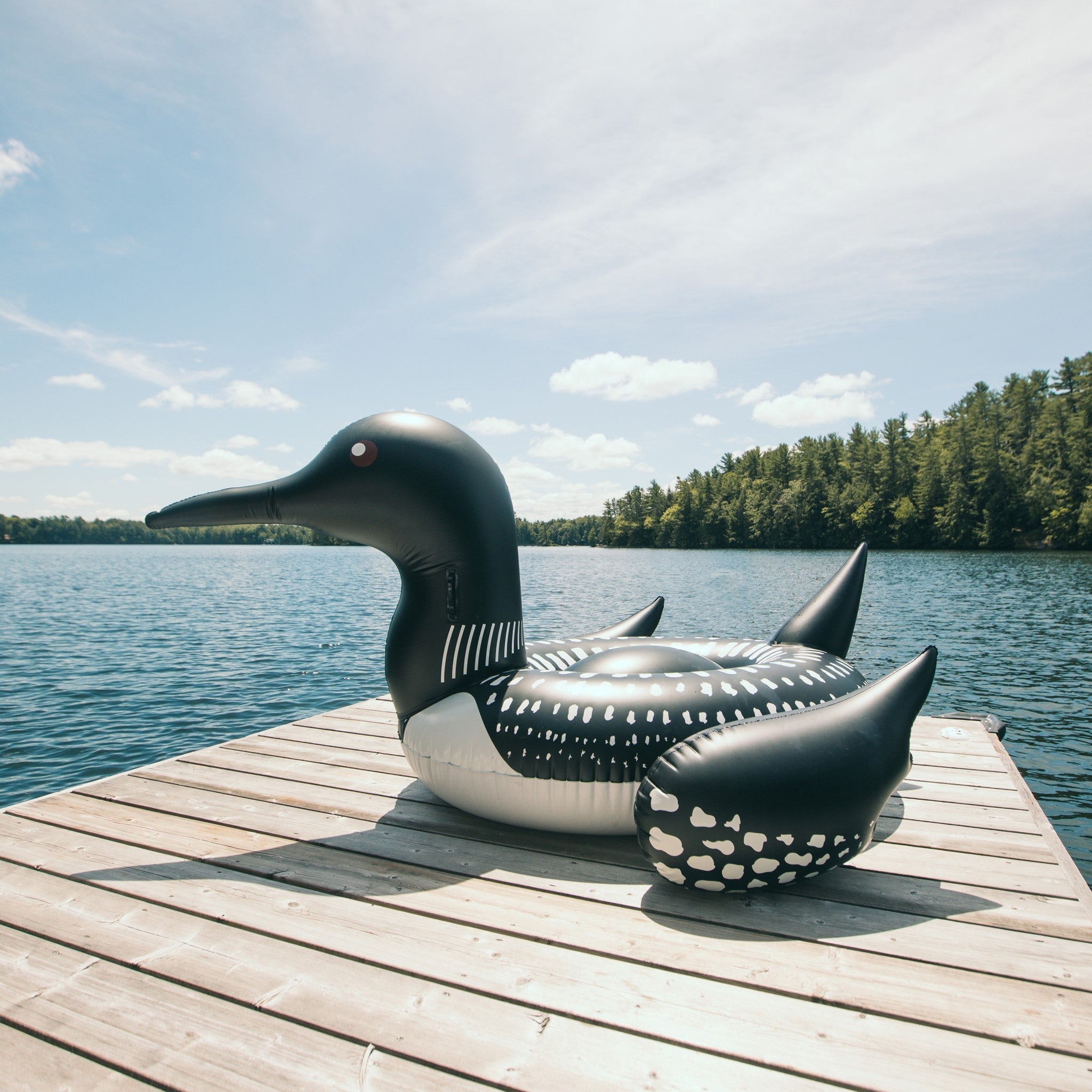 The Loon – Adult Inflatable Pool & Lake Float by Float-Eh