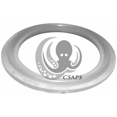 O-Ring Gasket 2'' With Rib